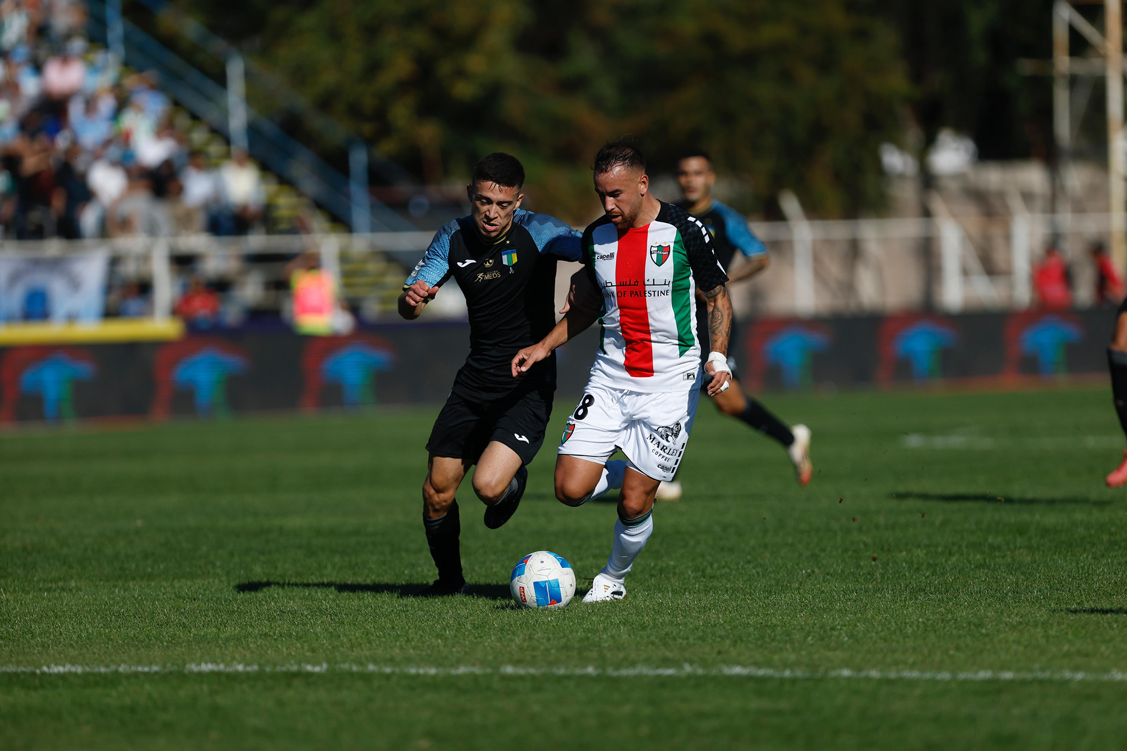Jornada 8 | Primera División
