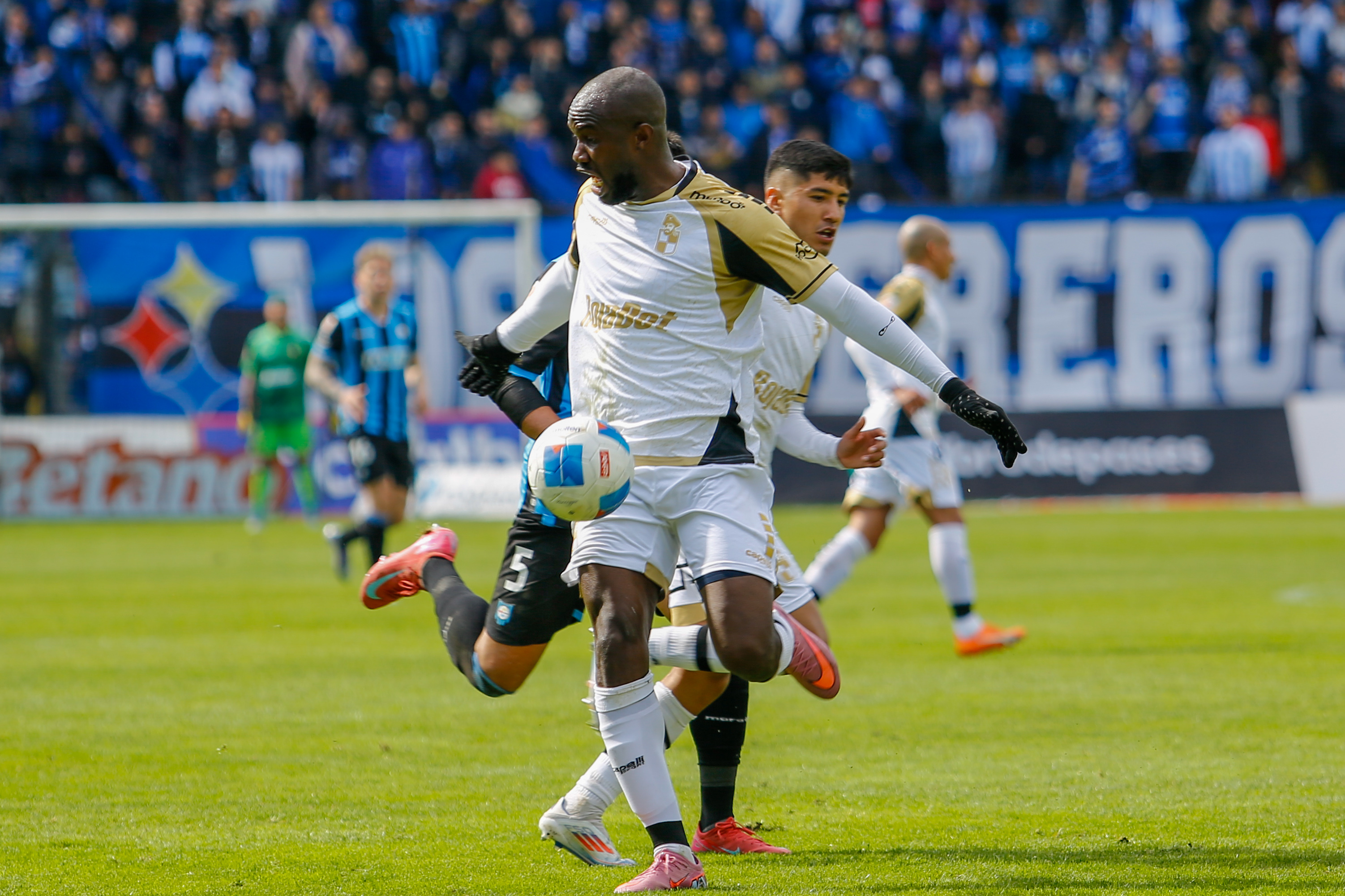 Jornada 22 | Primera División